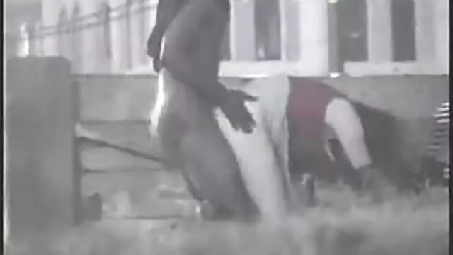 Una bionda matura in bella lingerie succhia abilmente un cazzo al suo video porno gratis pornototale partner